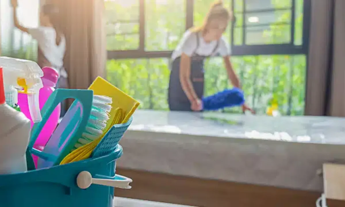 stanmdard cleaning services by a professional cleaner in virginia